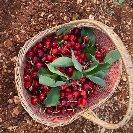 L'isola Di Francesca בית כפרי