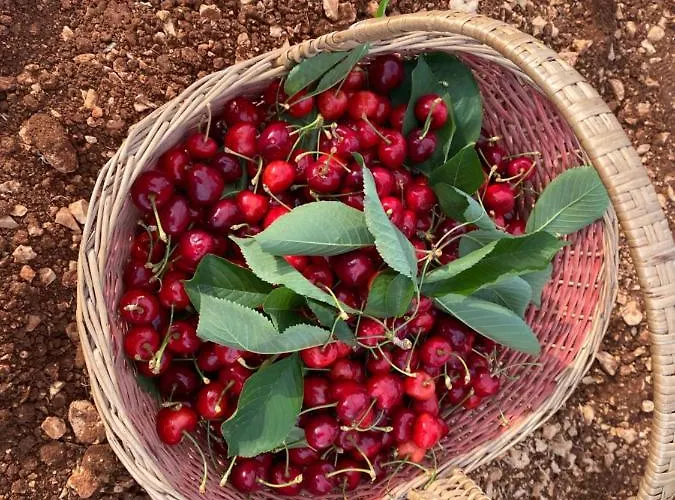 L'isola Di Francesca Landhaus